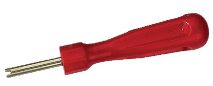 TORNAVİDA PAFTA